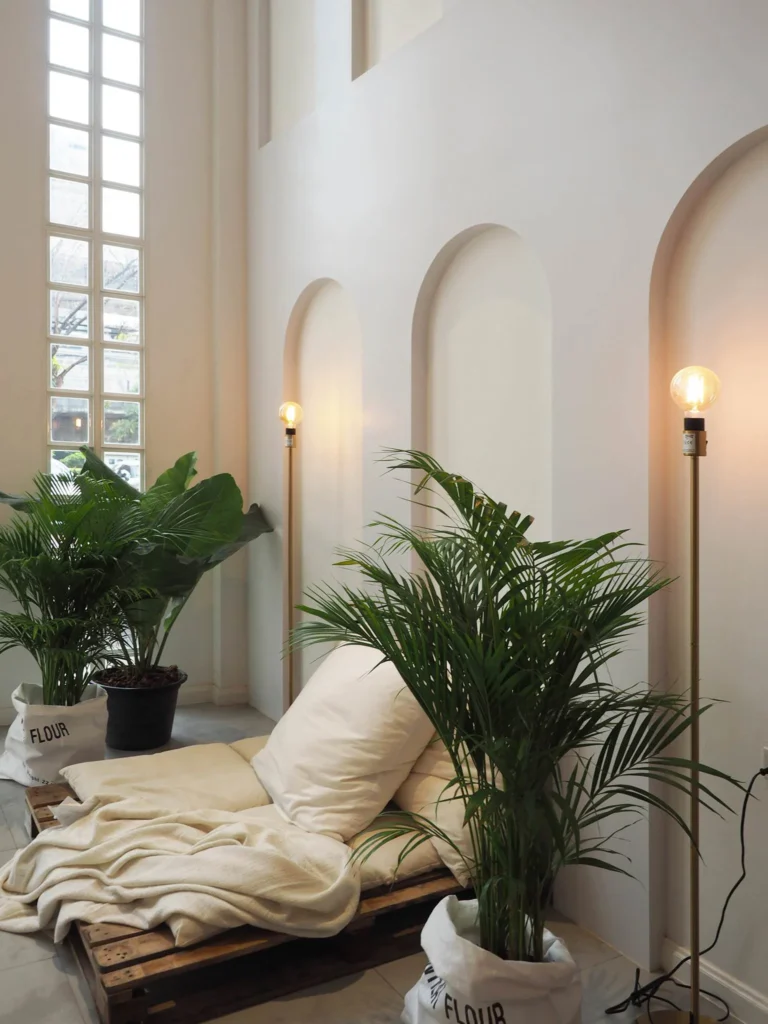 17492342 1294952780594065 2397054423833491635 o