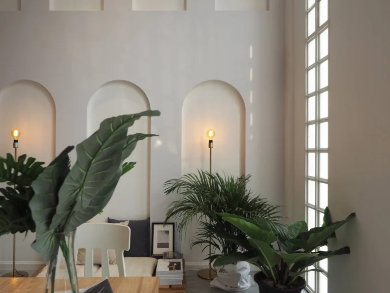 17492446 1294867877269222 1433713827617565664 o