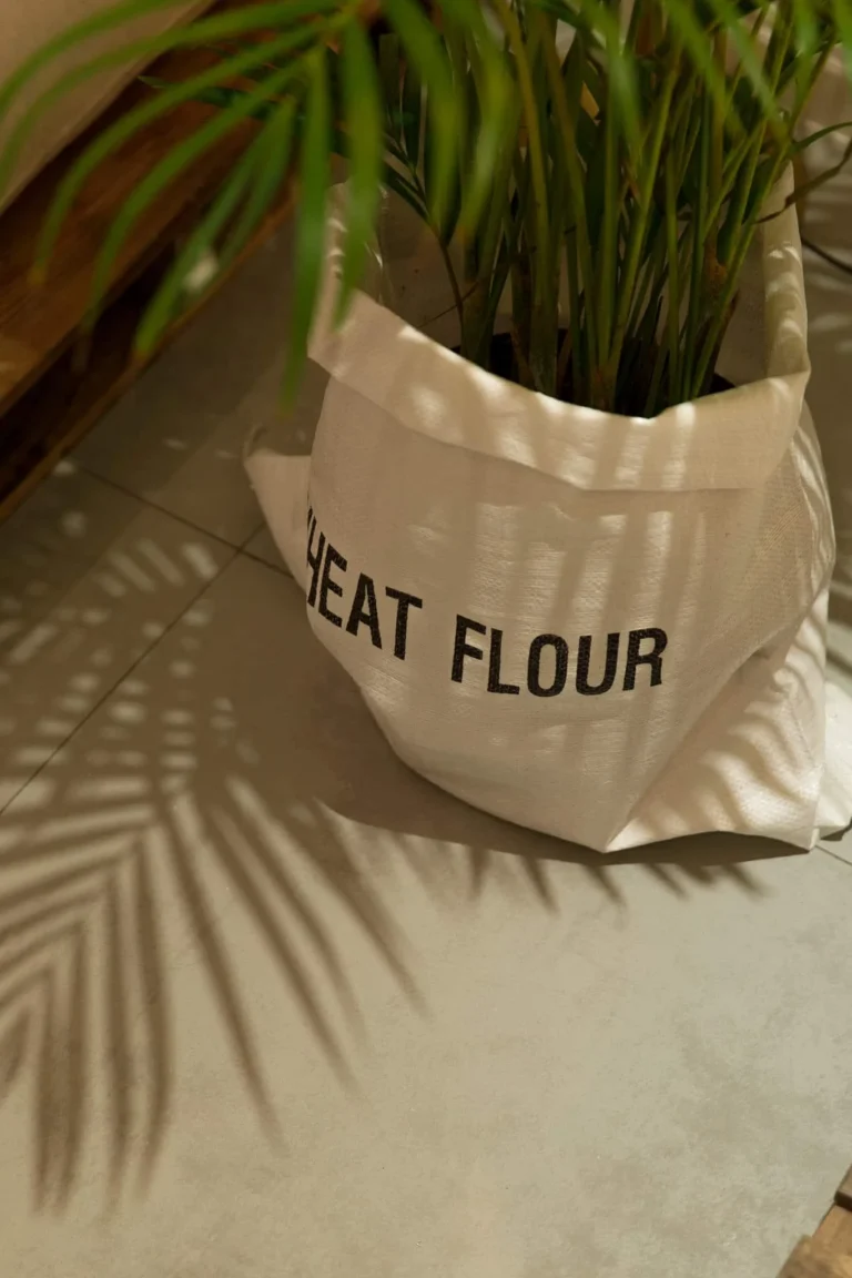 17504255 1294890560600287 767551510183489575 o