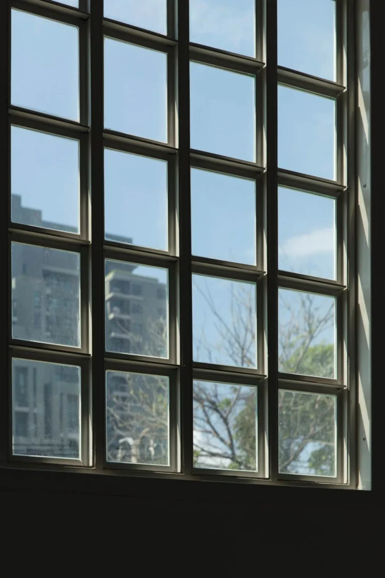 17621862 1299729096783100 1500164653980259882 o