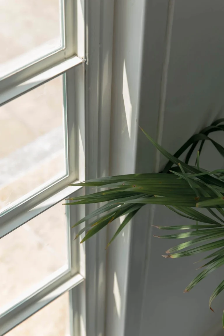 17635183 1299728996783110 8573787536485765893 o