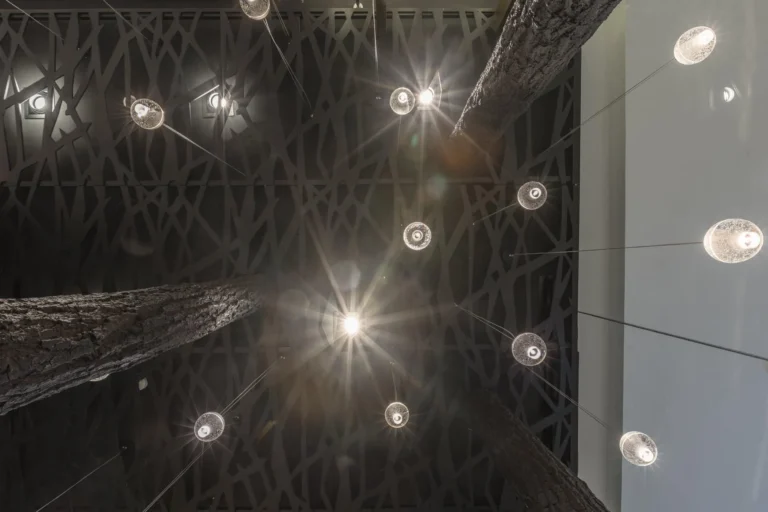 62313942 2308250229264310 2359669729800486912 n