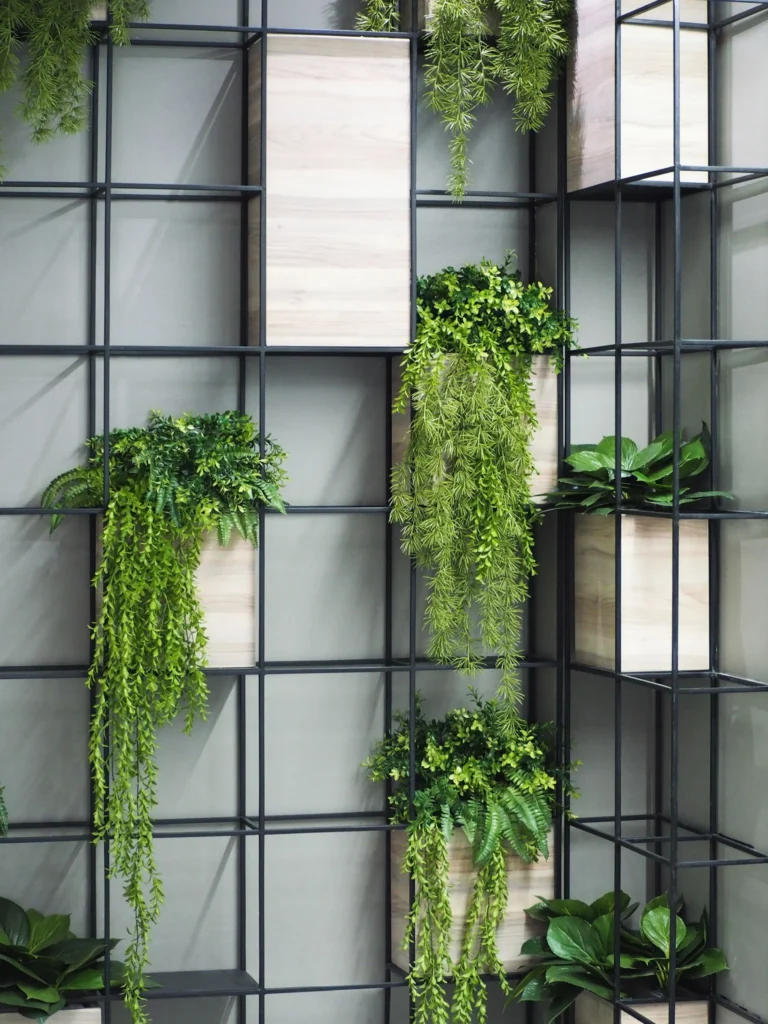 82602485 2784866314936030 5428381299666583552 n