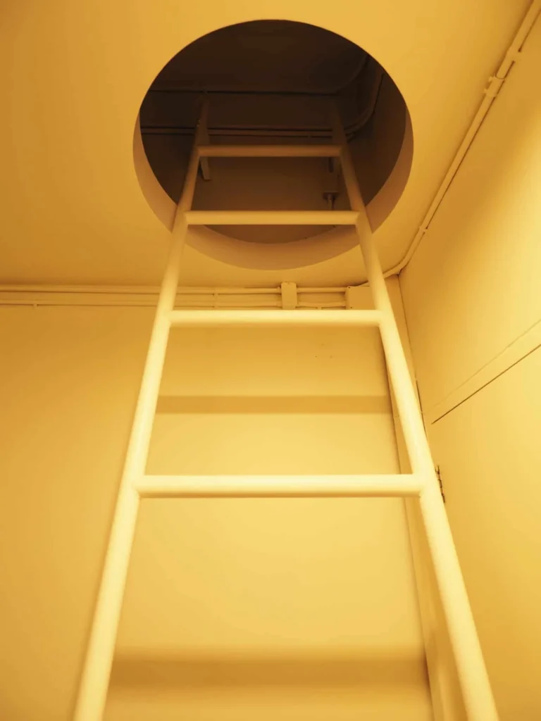 66303525 2373484066074259 3620184361355182080 o