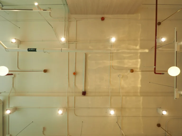 66361854 2373486236074042 4209098242484338688 o