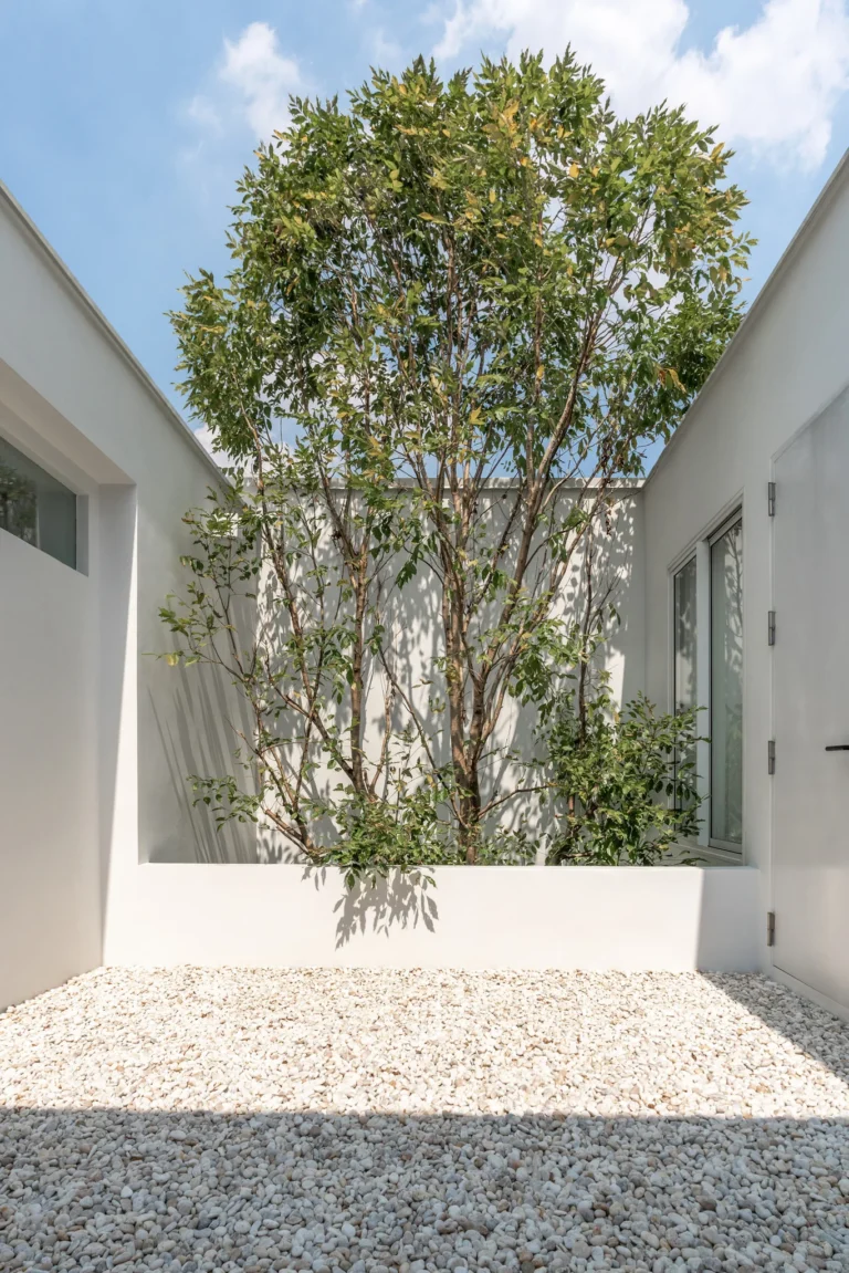 House between the wall 3600 24