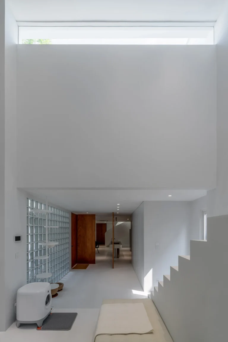 House between the wall 3600 28
