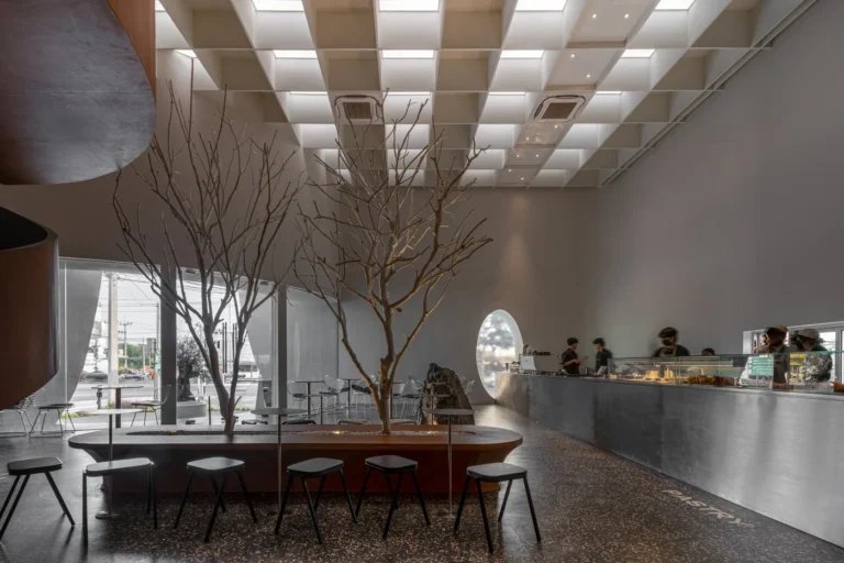 434093465 956747402993880 6950114308694492749 n