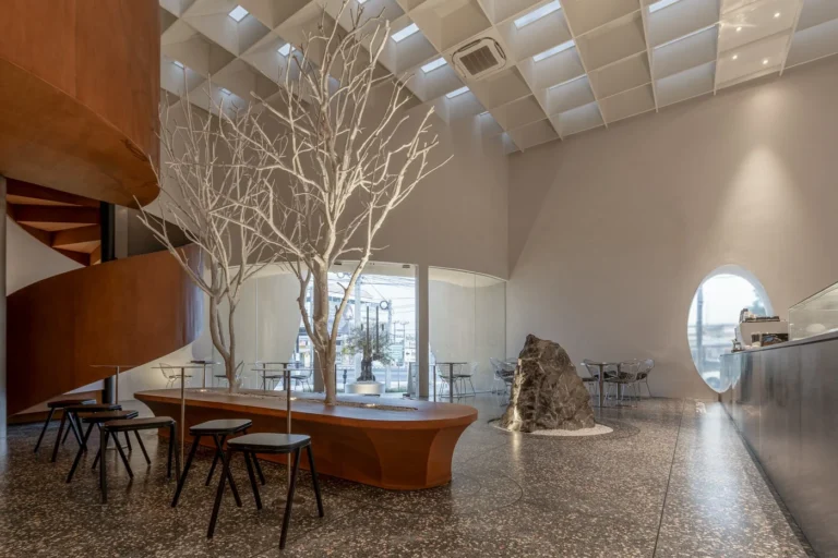 434355264 956748092993811 3719421607972855525 n